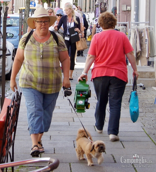 med hunden i Kelheim