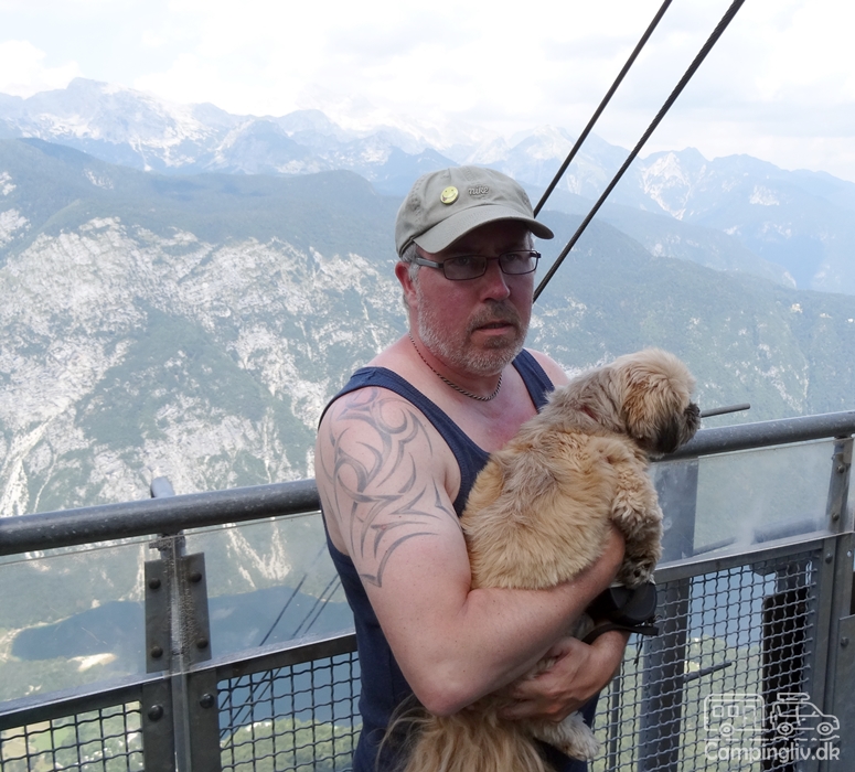 Hunden med til Bohinj i
                                          Slovenien