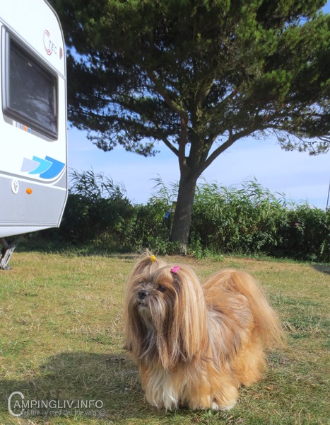 Gammelmark-Strand-Camping