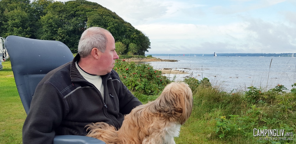 Camping ved Flensborg
                                        Fjord