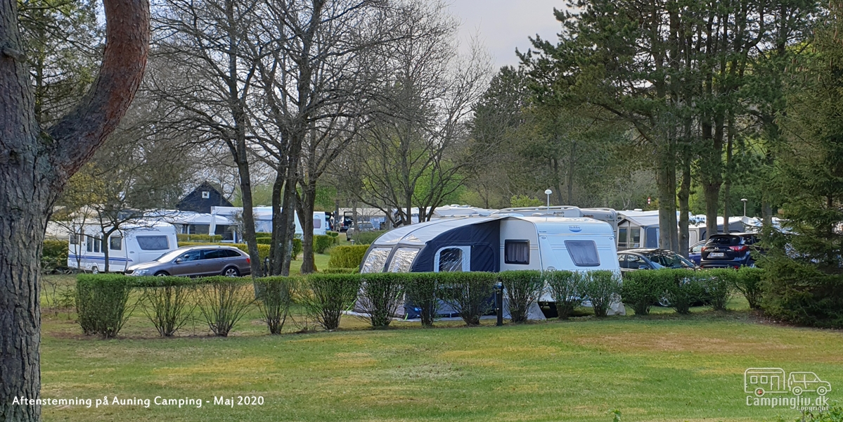 Auning-Camping-Maj-2020