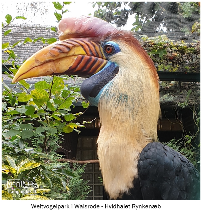 Weltvogelpark Walsrode