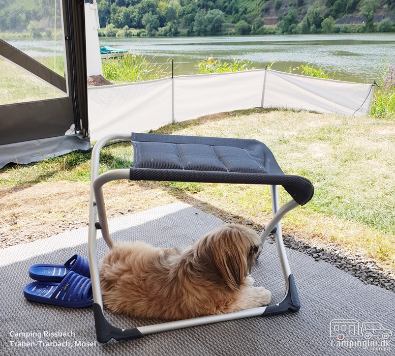 på camping ved Mosel, Camping
                                      Rissbach 2018