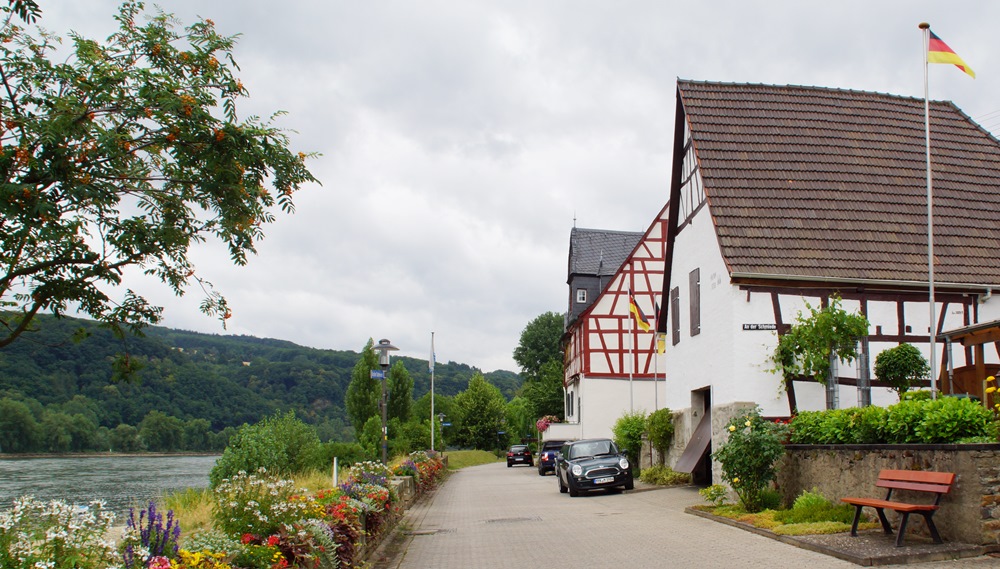 Spay_am_Rhein