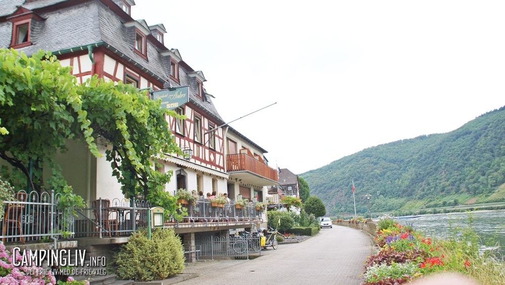 Spay_Am_Rhein